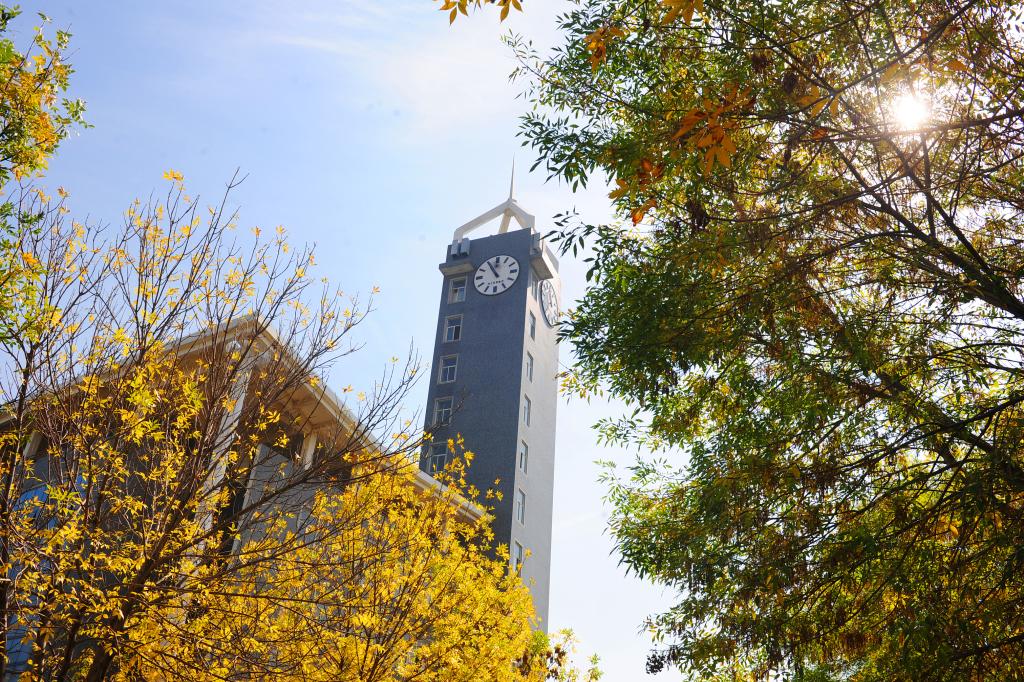 Tall clock tower building viewed through autumn tree branches with yellow and green leaves, blue sky, sunlit peaceful morning